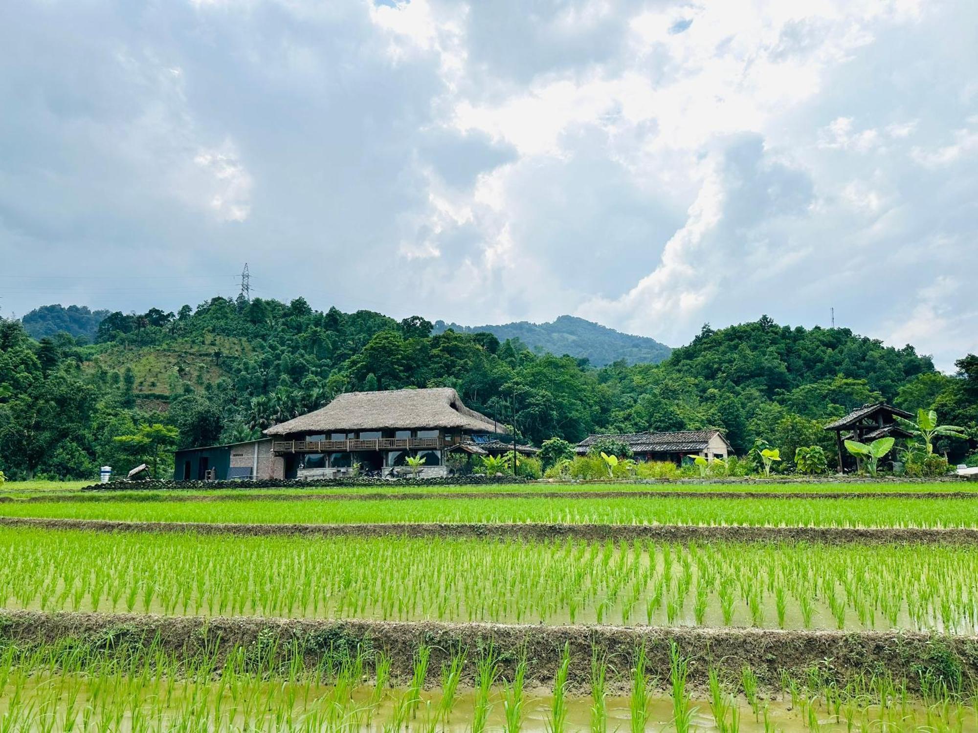 Ban Bang Ecolodge Tours & Motorbike Rental ハザン エクステリア 写真